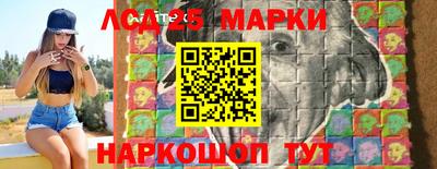 тгк Дмитров