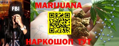 тгк Дмитров