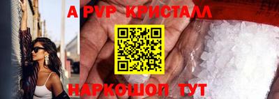 тгк Дмитров
