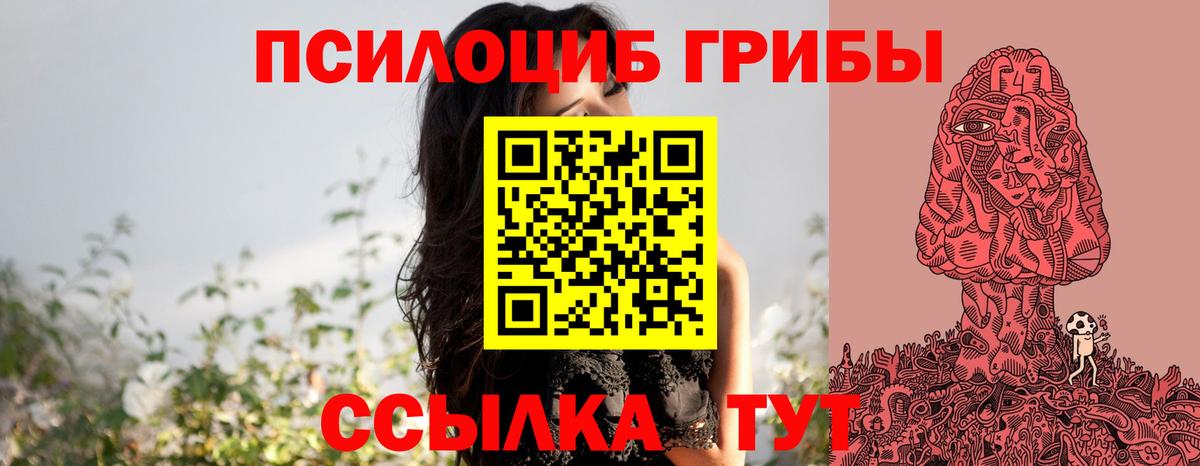 Галлюциногенные грибы Cubensis Кудрово